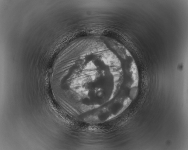 X0000115600641200912011527