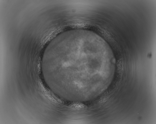 X0000115600642200912011527