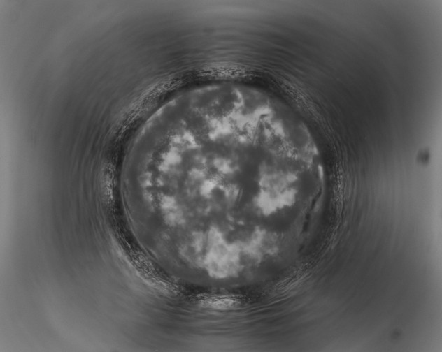 X0000115600643200912011527