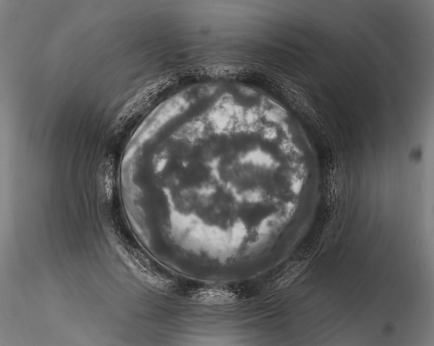 X0000115600644200912011527