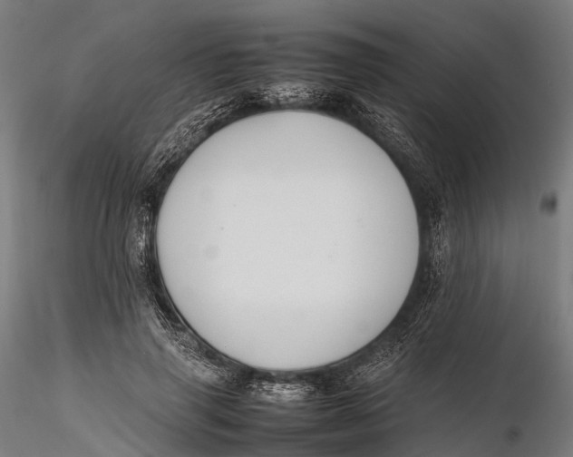 X0000115600645200912011527