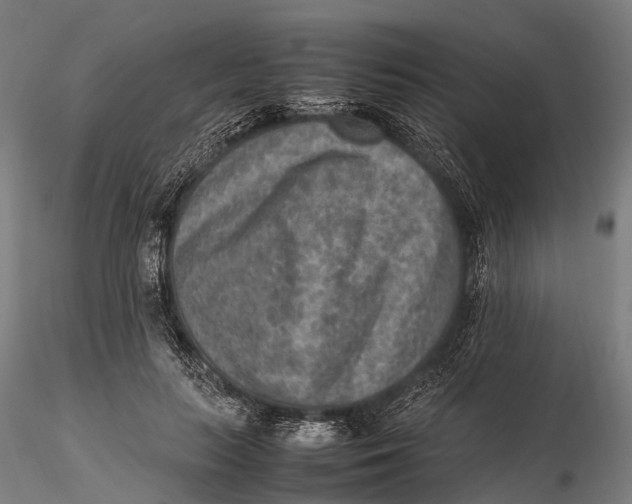 X0000115600647200912011527