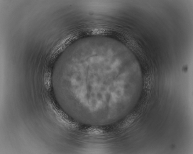 X0000115600648200912011527