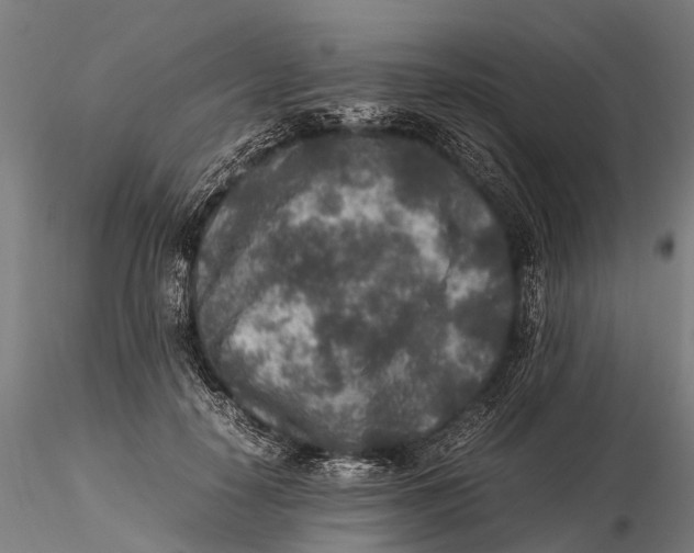 X0000115600650200912011527