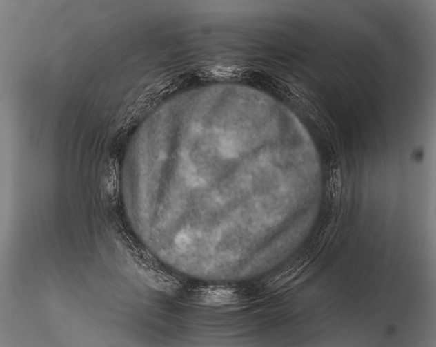 X0000115600651200912011527