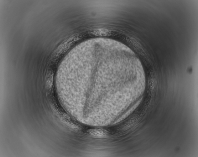 X0000115600652200912011527