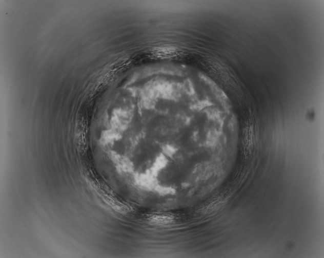 X0000115600653200912011527