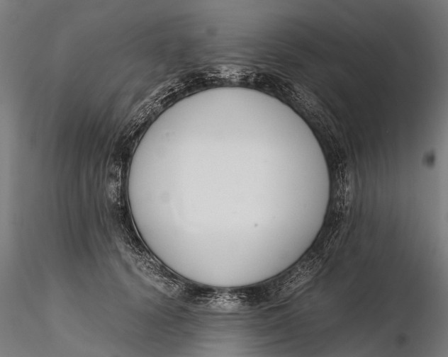 X0000115600656200912011527