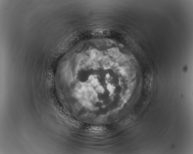 X0000115600659200912011527