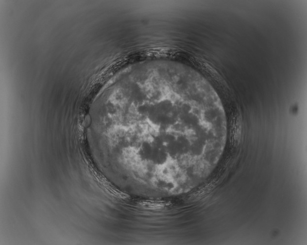 X0000115600661200912011527