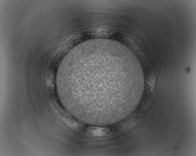 X0000115600663200912011527