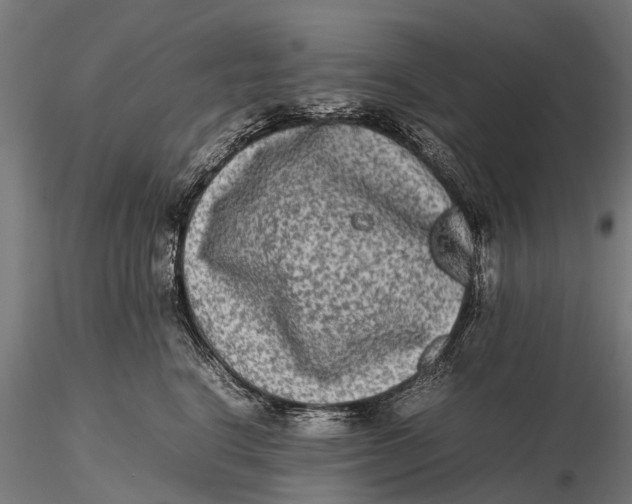 X0000115600664200912011527