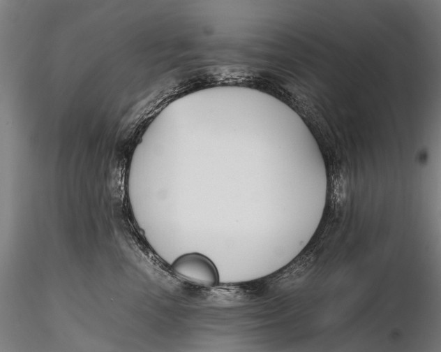 X0000115600666200912011528