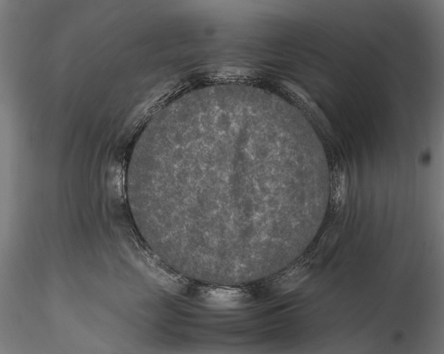 X0000115600669200912011528