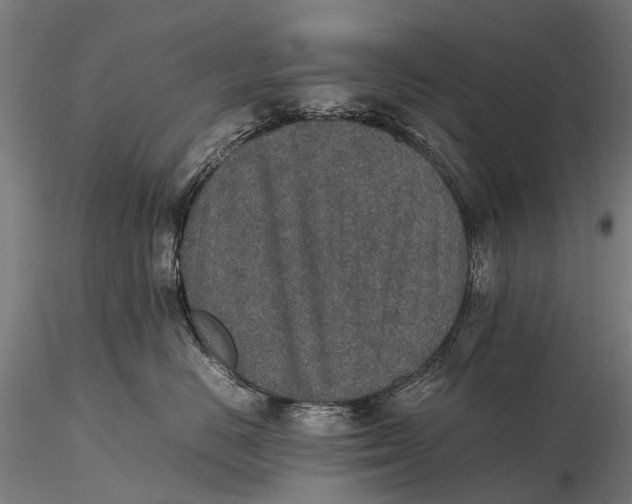 X0000115600670200912011528