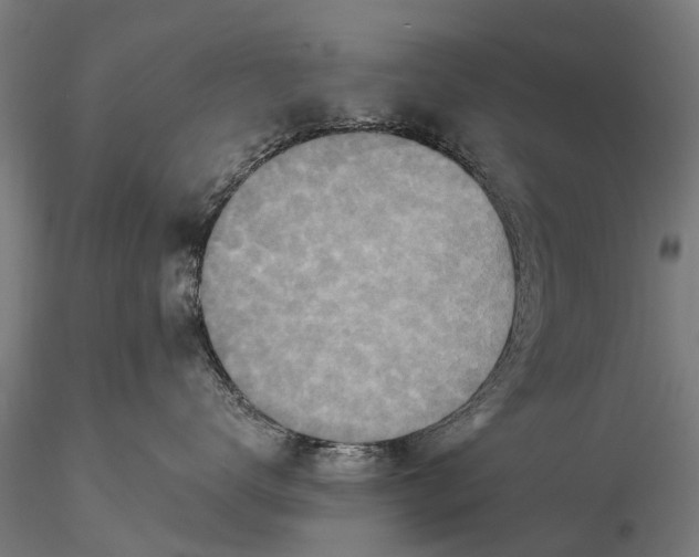 X0000115600672200912011528