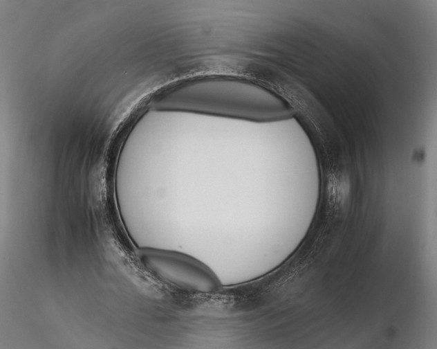 X0000115600676200912011527