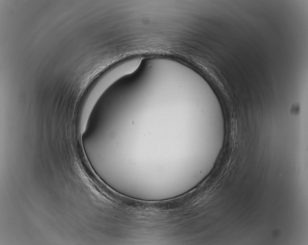 X0000115600677200912011527