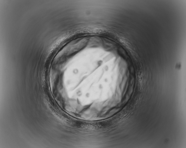 X0000115600679200912011527