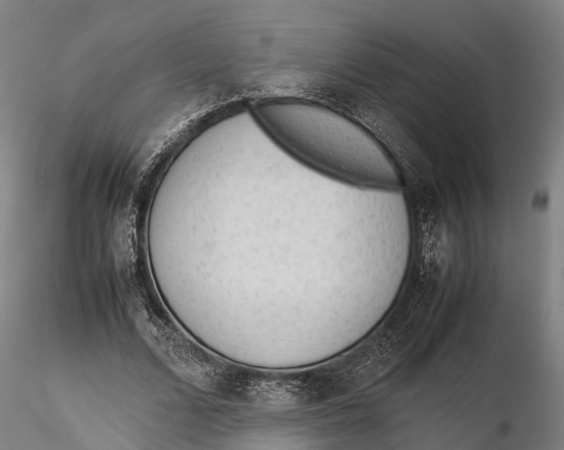 X0000115600680200912011527