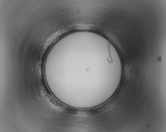 X0000115600682200912011527