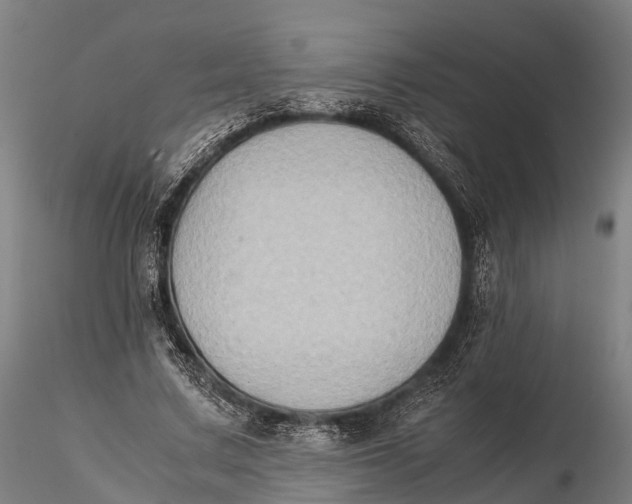 X0000115600683200912011527