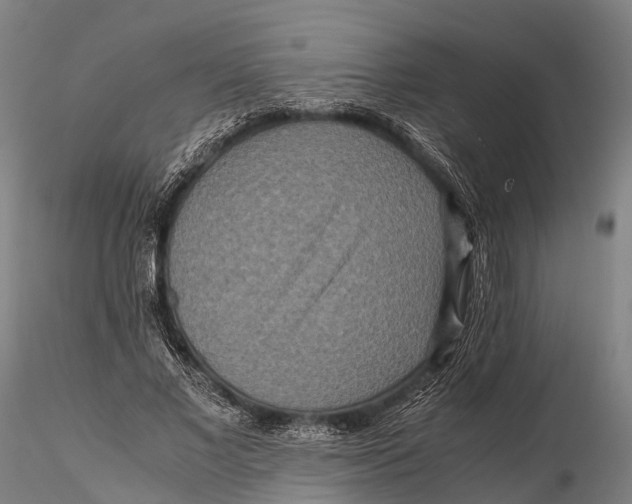 X0000115600685200912011527