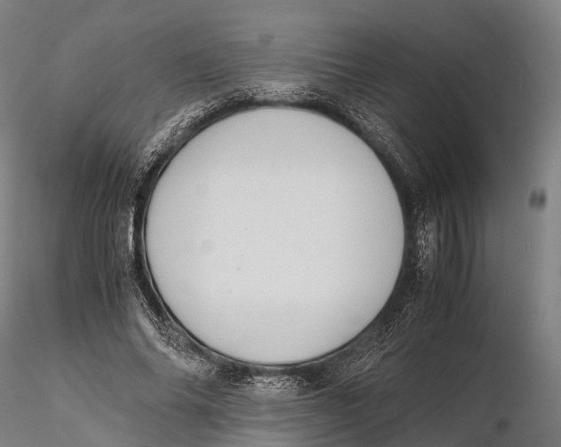 X0000115600686200912011527