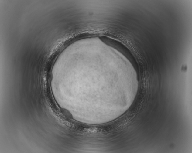 X0000115600688200912011527