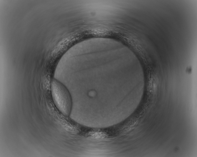 X0000115600689200912011527