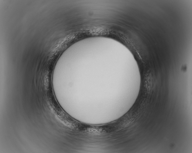 X0000115600690200912011527