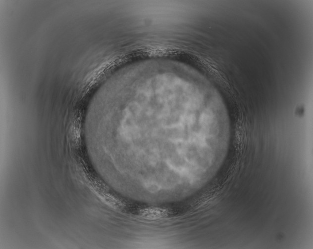 X0000115600691200912011527