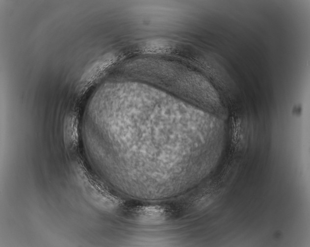 X0000115600692200912011527