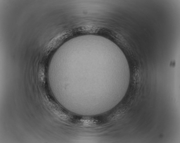 X0000115600693200912011527