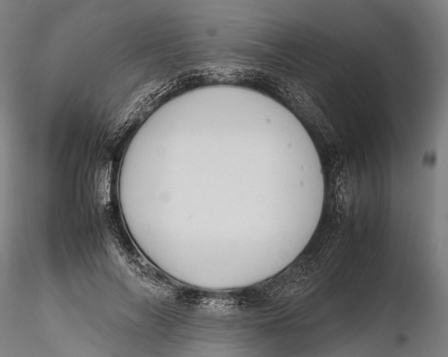 X0000115600694200912011526