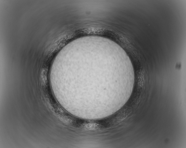 X0000115600695200912011526