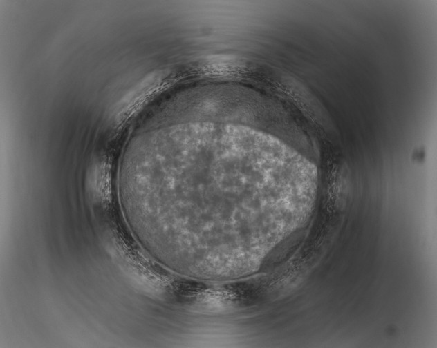 X0000115600696200912011526