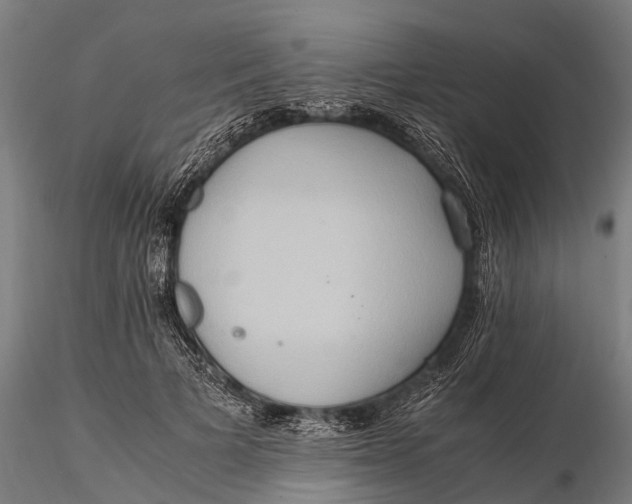 X0000115600697200912011526