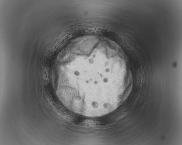 X0000115600699200912011526