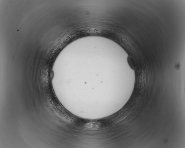 X0000115600700200912011526