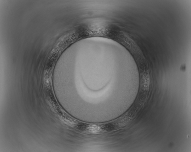 X0000115600701200912011526