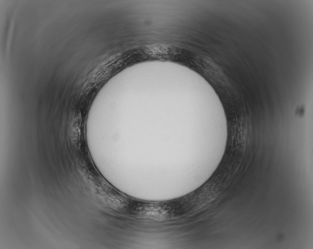 X0000115600702200912011526