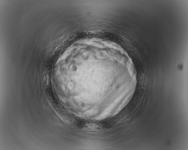 X0000115600703200912011526