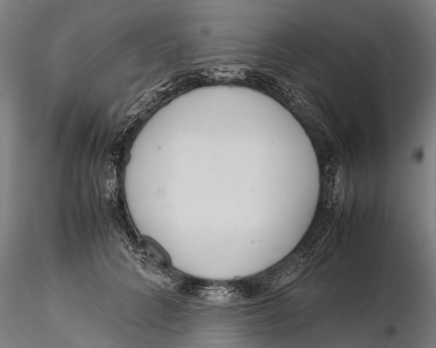 X0000115600704200912011526