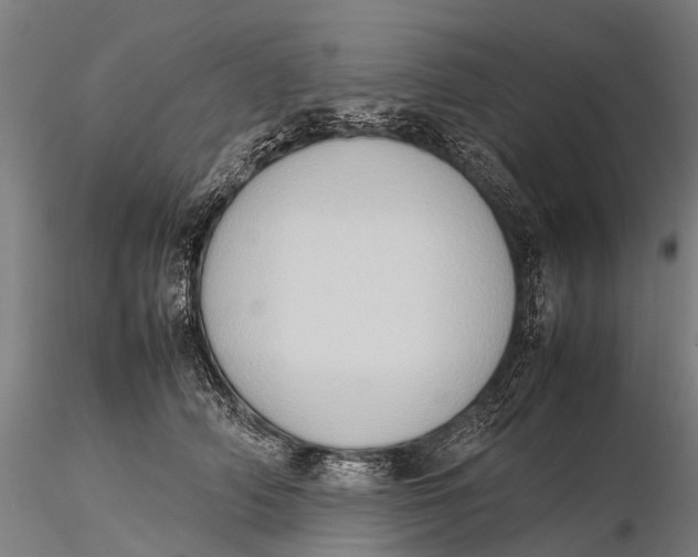 X0000115600706200912011526