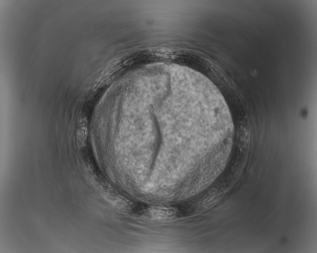 X0000115600707200912011526