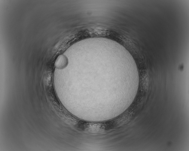 X0000115600709200912011526