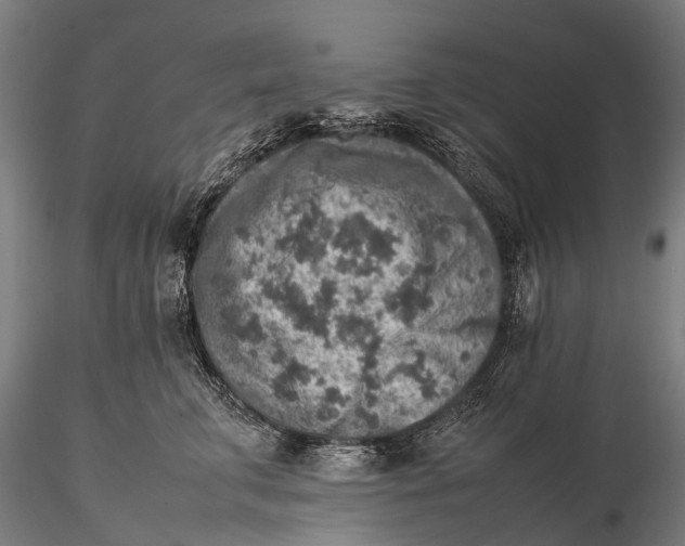 X0000115600711200912011526