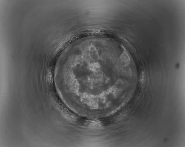 X0000115600715200912011526