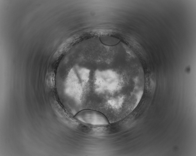 X0000115600718200912011526